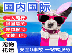 玉龙机场物流国际宠物托运 【国